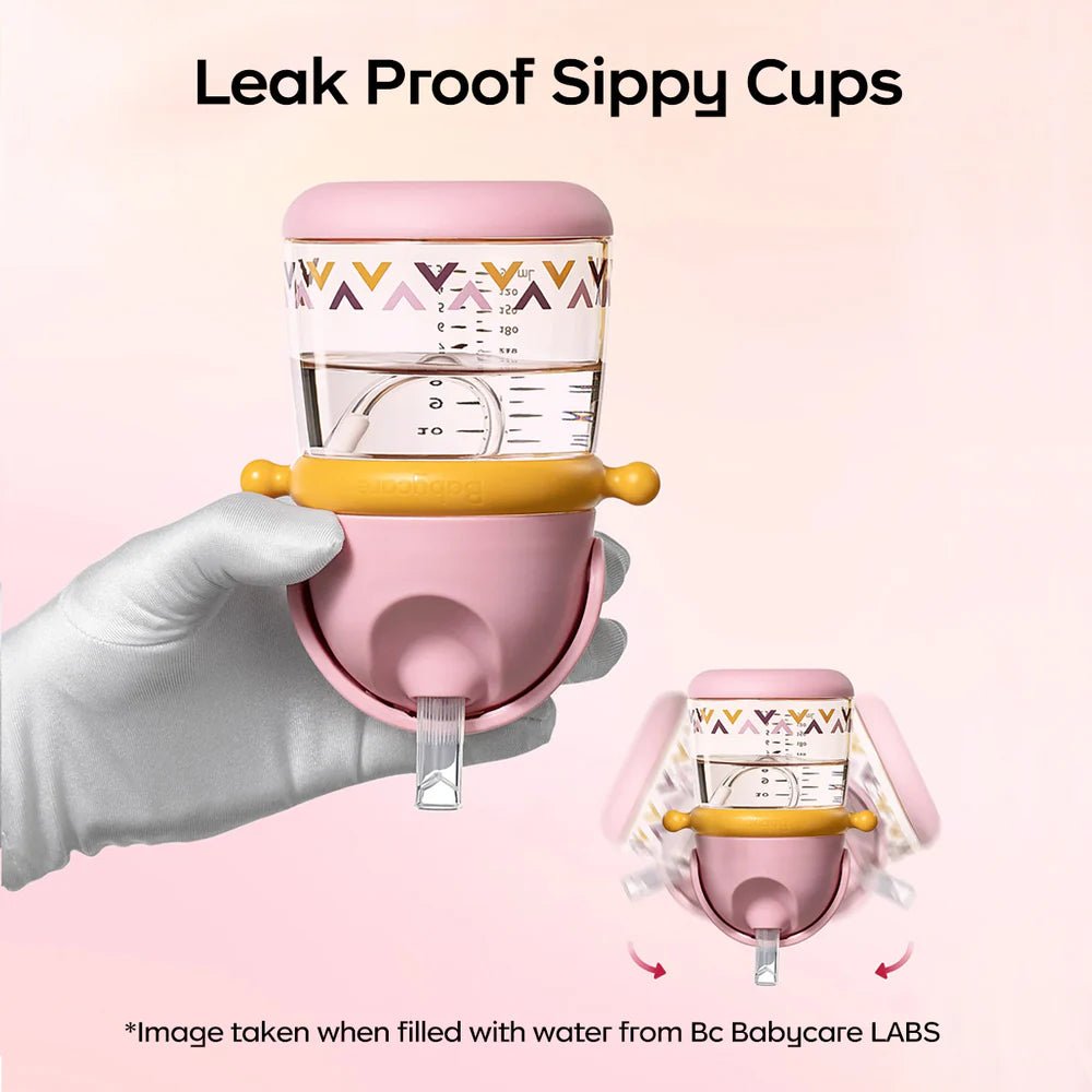 Dinosaur Weighted Straw Sippy Cup - Minuvy Shop Baby