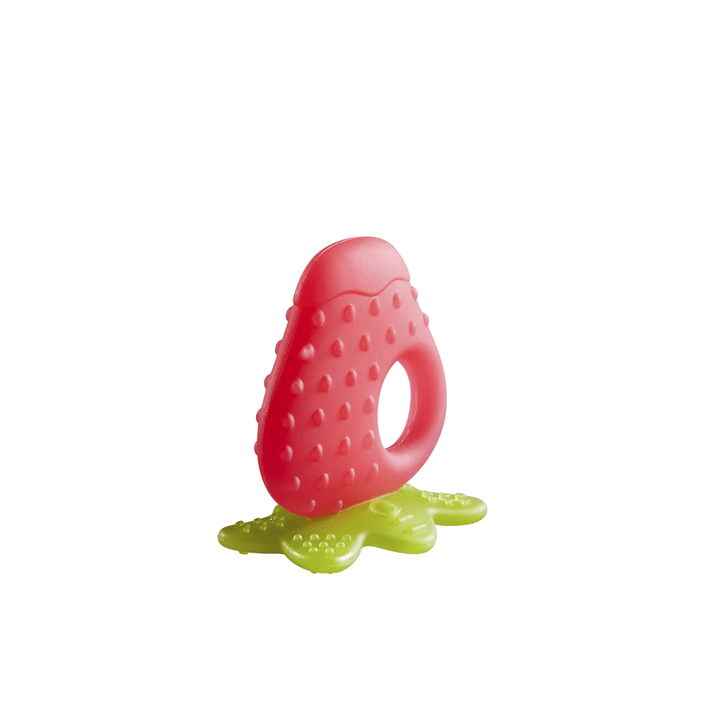 Fruit Teething Toy - Minuvy Shop Baby